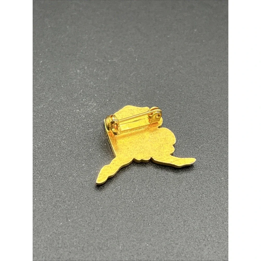 State Of‎ Alaska Outline USA Lapel Hat Pin